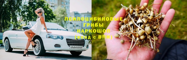apvp Абдулино